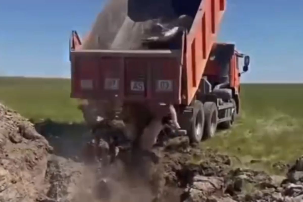стоп-кадр с видео