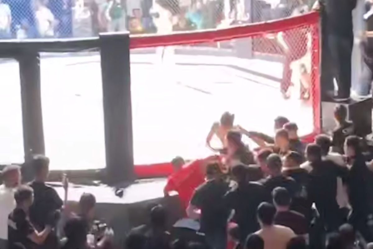 скриншот видео