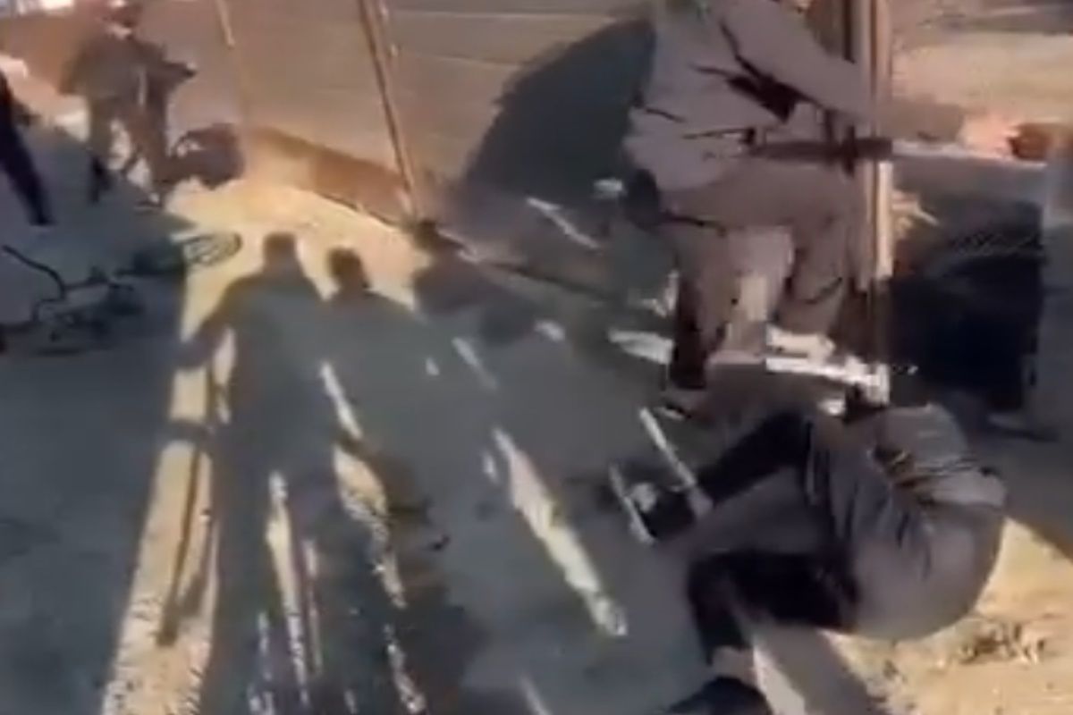 скриншот видео скриншот видео