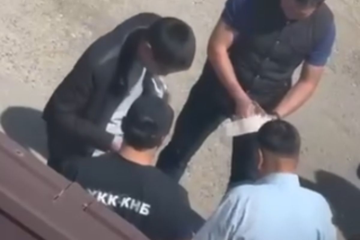 стоп-кадр с видео стоп-кадр с видео