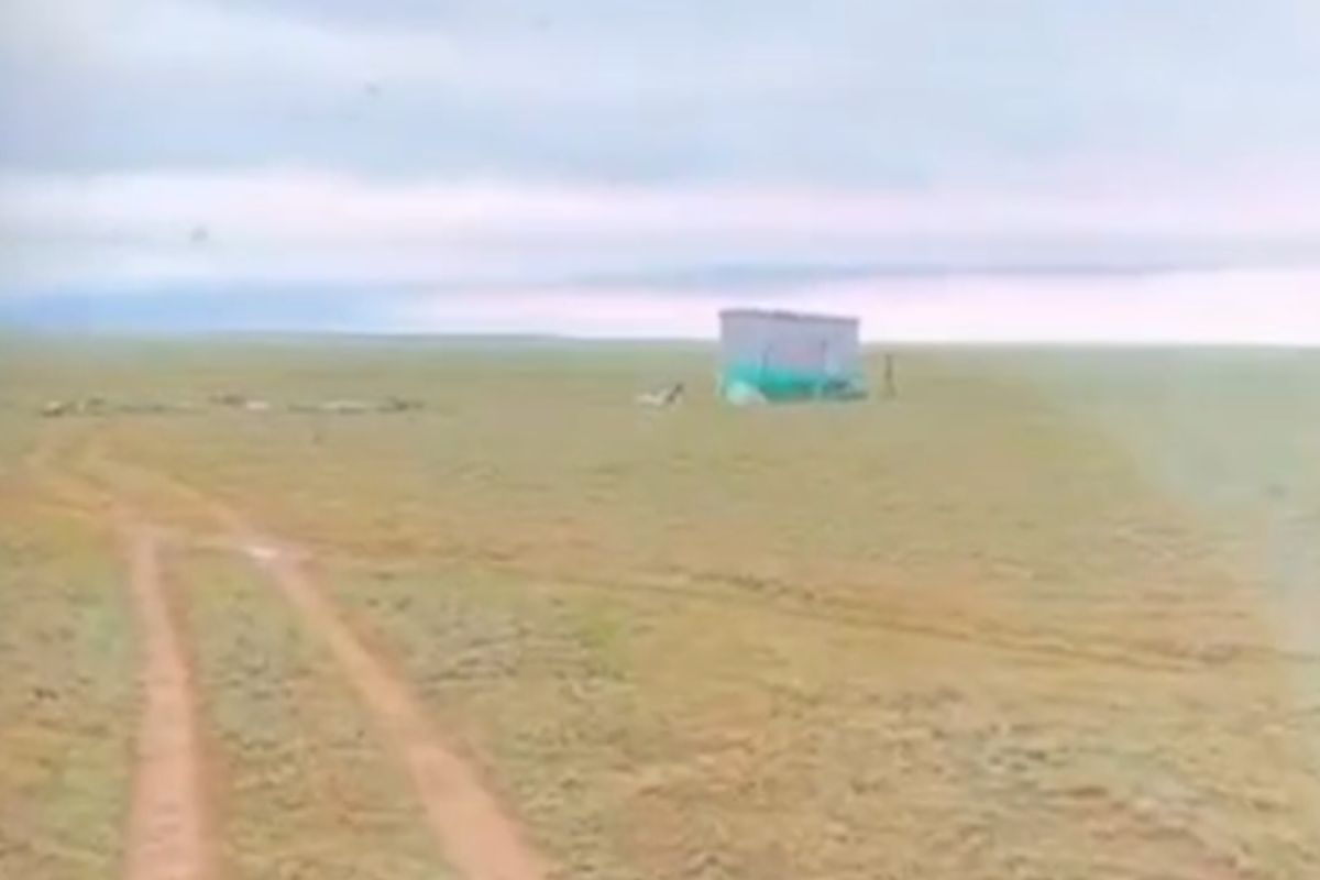 скриншот видео