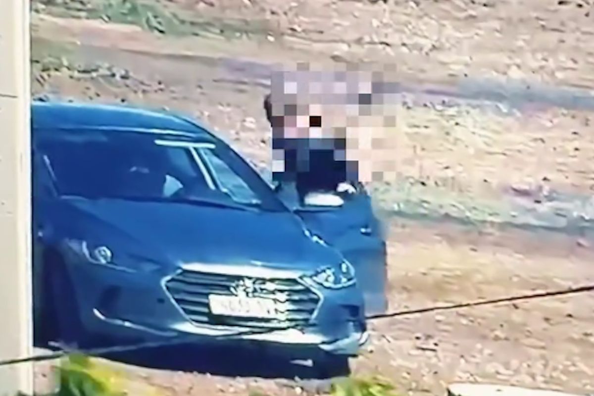 скриншот видео