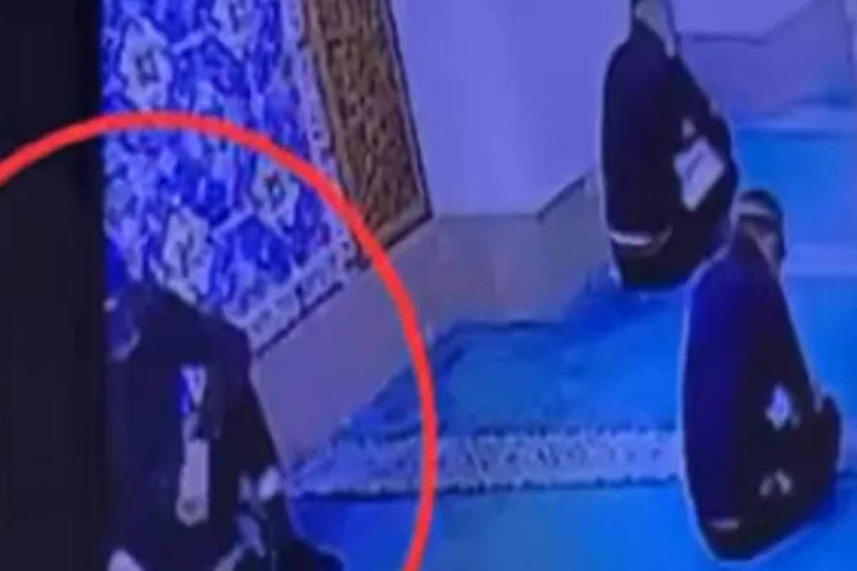 скриншот видео