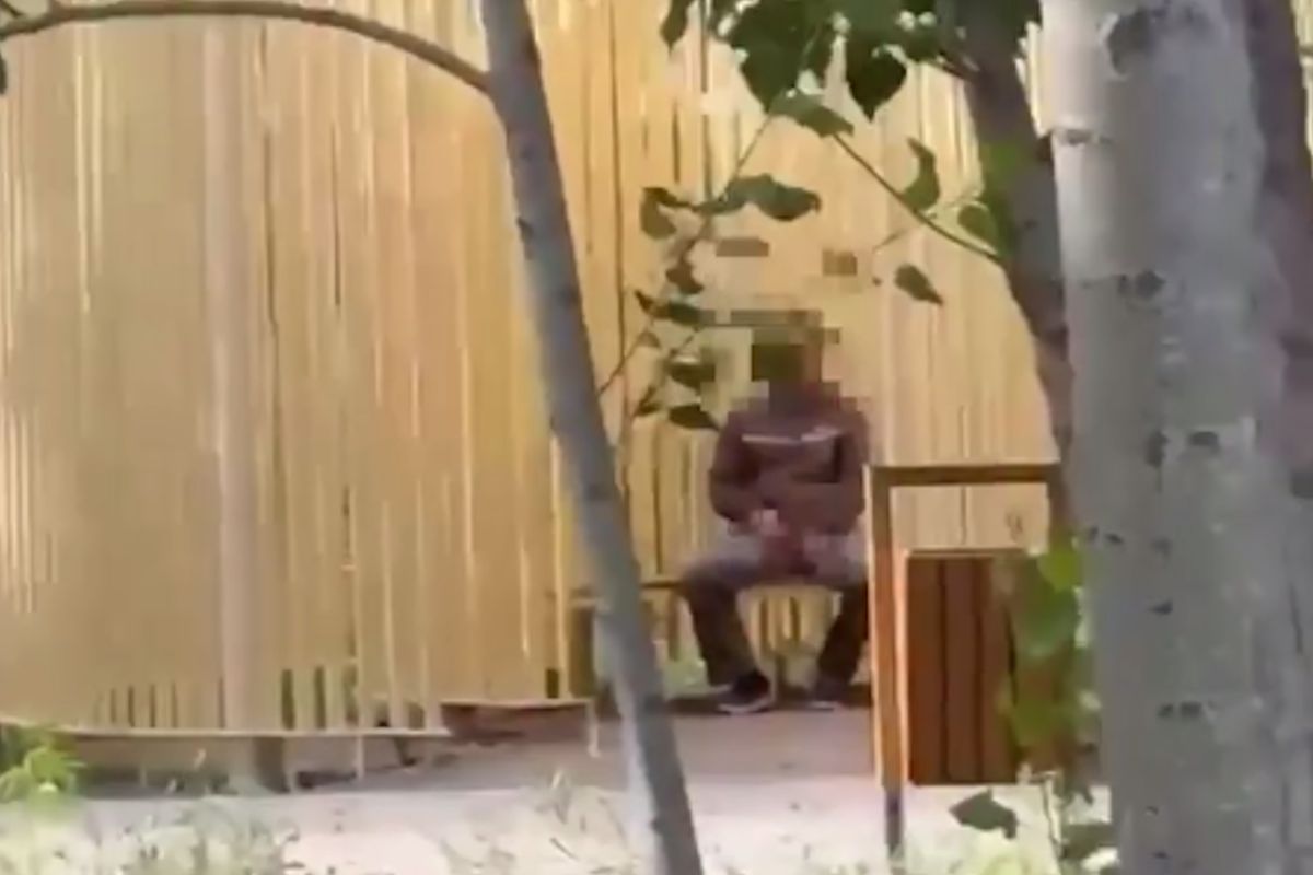 скриншот видео скриншот видео