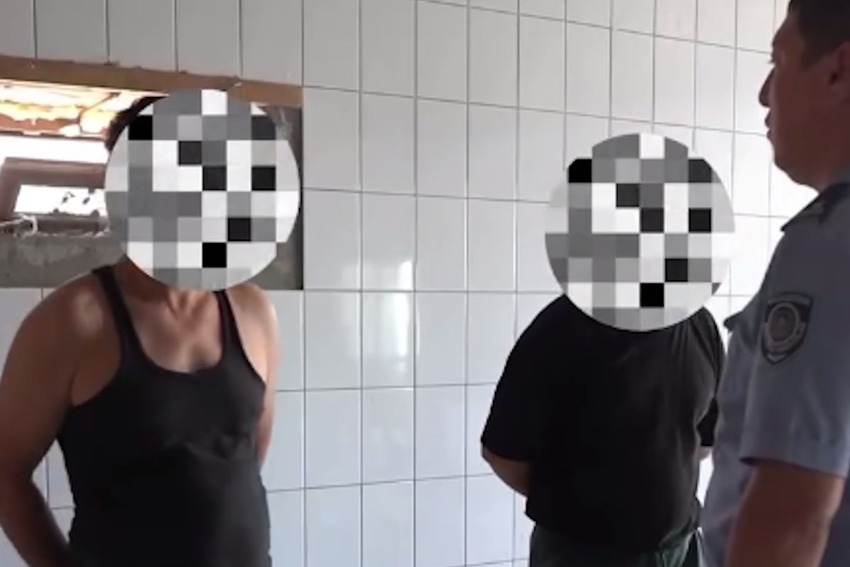 скриншот видео