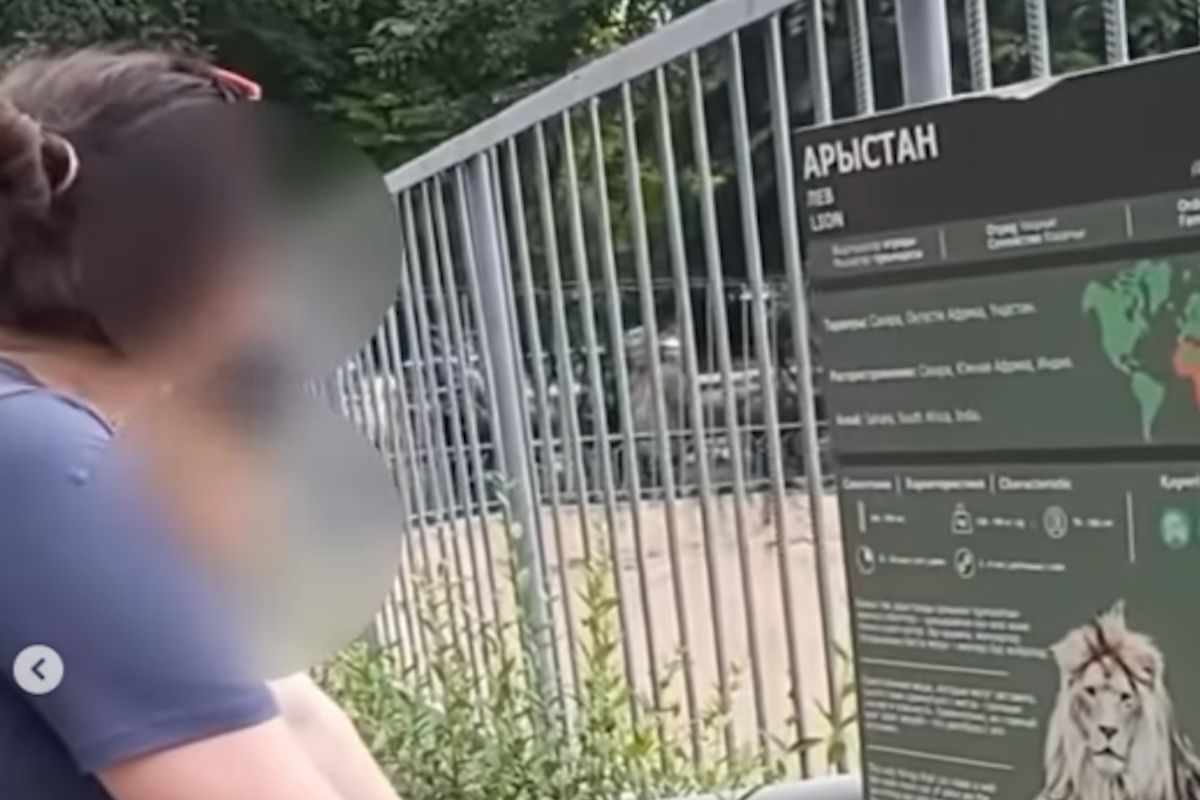 скриншот видео скриншот видео