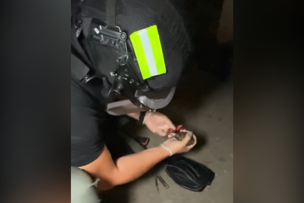 скриншот видео