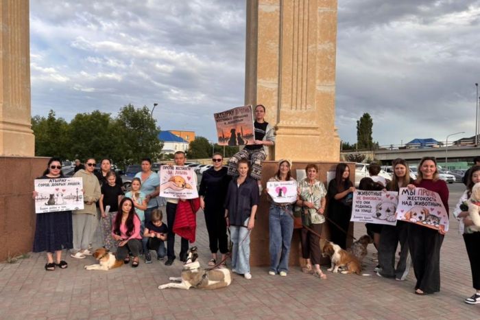 Лапы, плакаты и лозунги: в Атырау прошла акция зоозащитников
