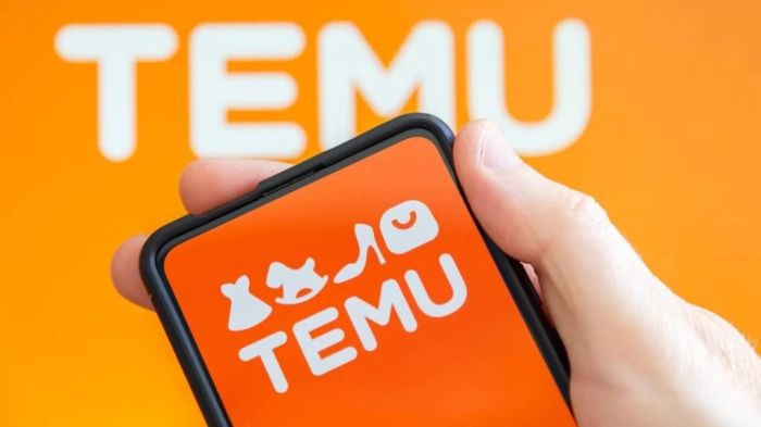 Товары с Temu и Pinduoduo подорожают для казахстанцев