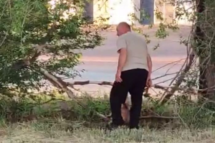 Видео с убийством собаки молотком вызвало резонанс в Степногорске