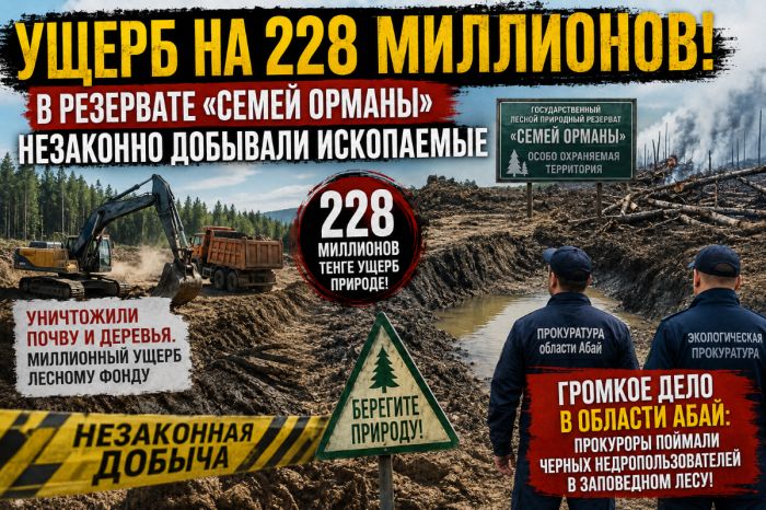 Ущерб на 228 миллионов: в резервате «Семей орманы» незаконно добывали ископаемые 