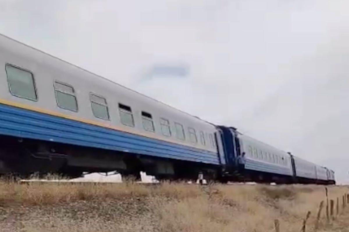 скриншот видео скриншот видео