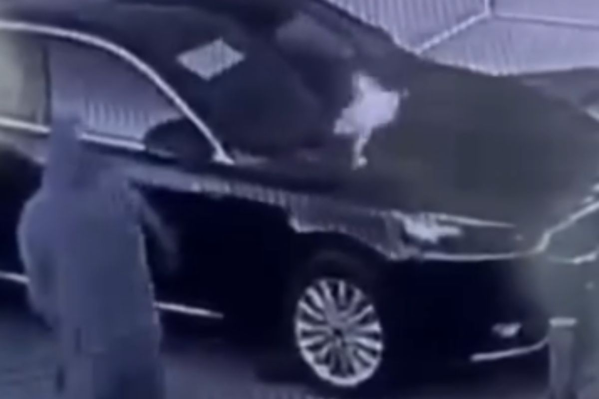 стоп-кадр с видео