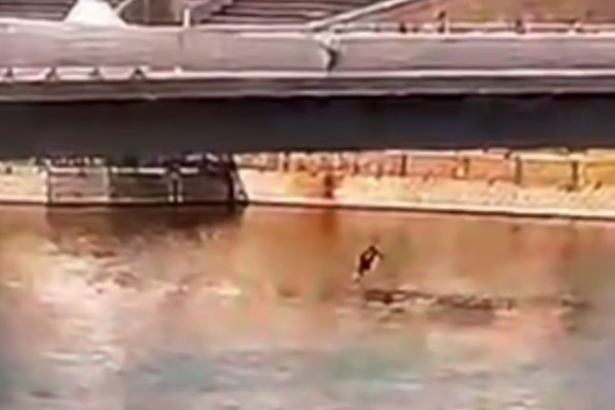 скриншот видео
