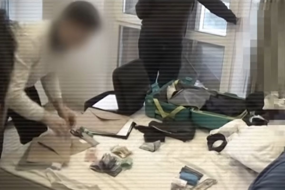 скриншот видео