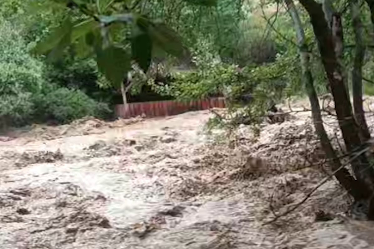 скриншот видео скриншот видео