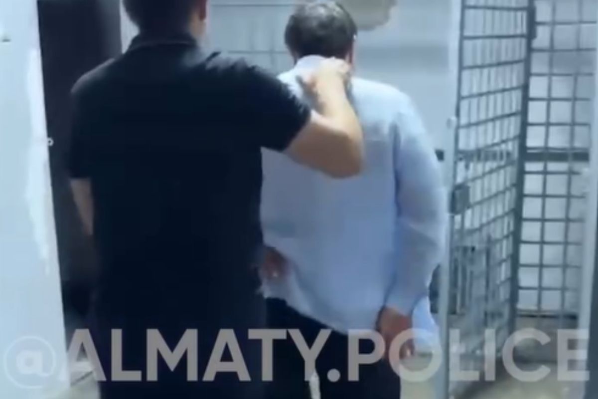 стоп-кадр с видео