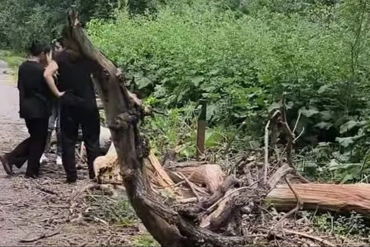 стоп-кадр с видео