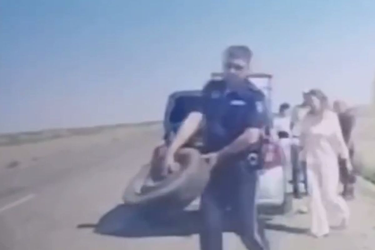 скриншот видео