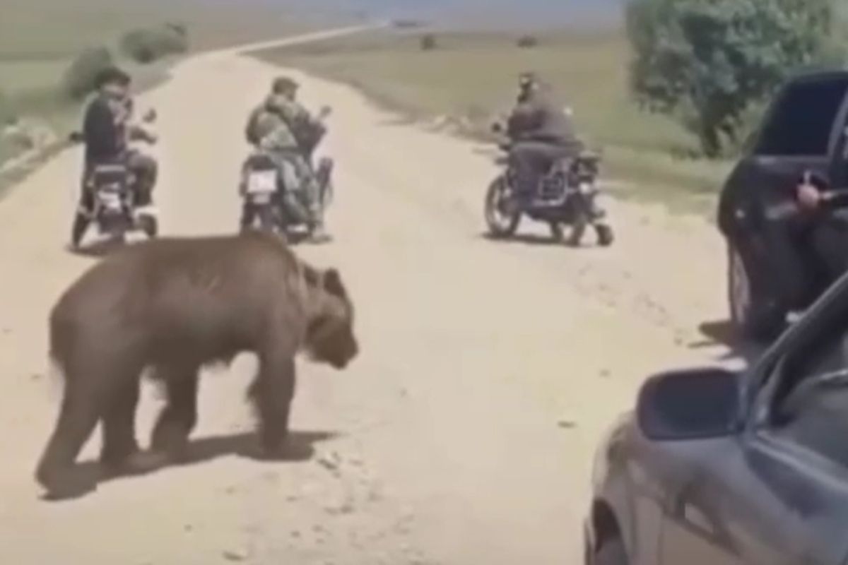 стоп-кадр с видео