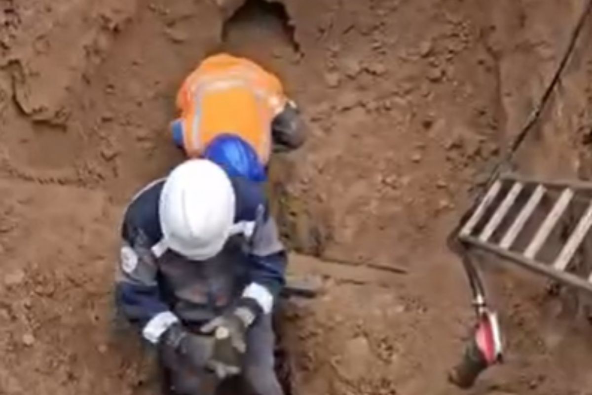 стоп-кадр с видео стоп-кадр с видео