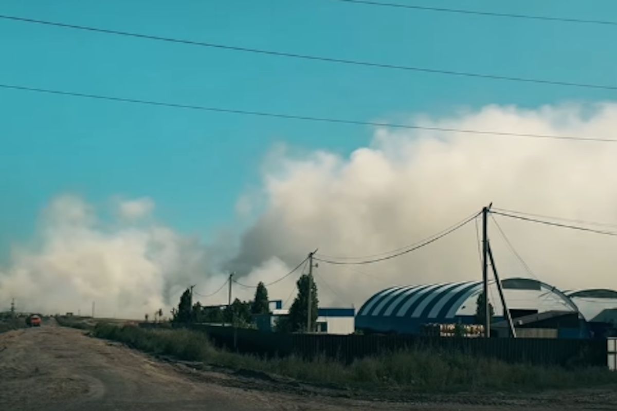 скриншот видео