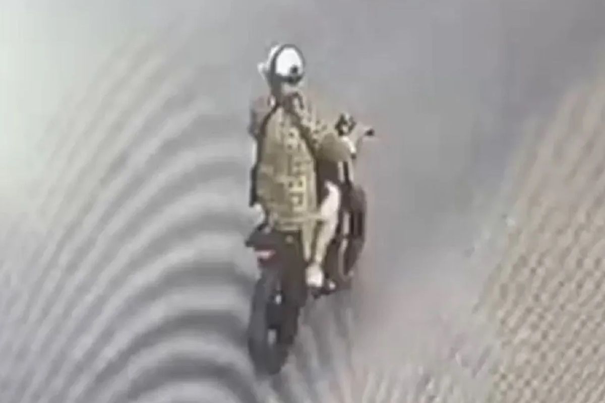 скриншот видео скриншот видео