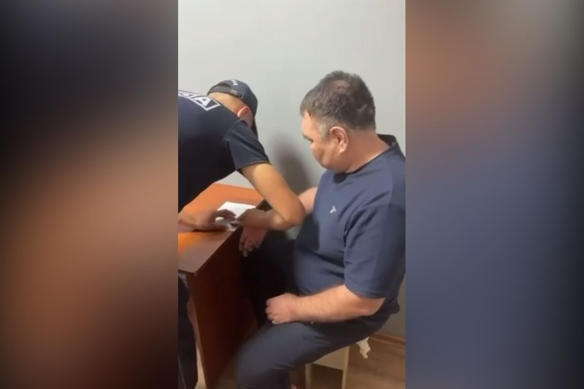 скриншот видео