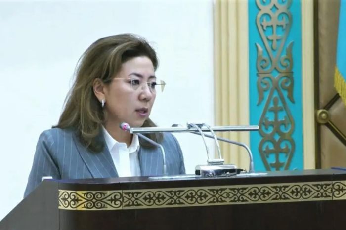 Комиссии в 1,5 процента бьют по бизнесу: казахстанцы запустили петицию против тарифов на единый QR