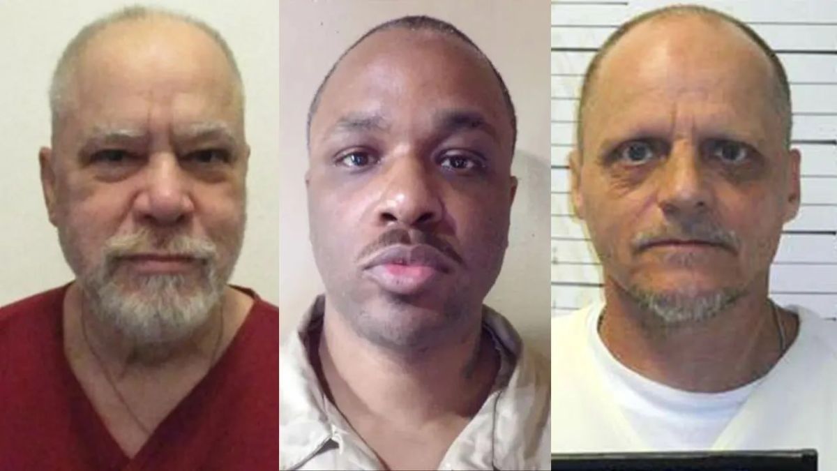 фото Bild