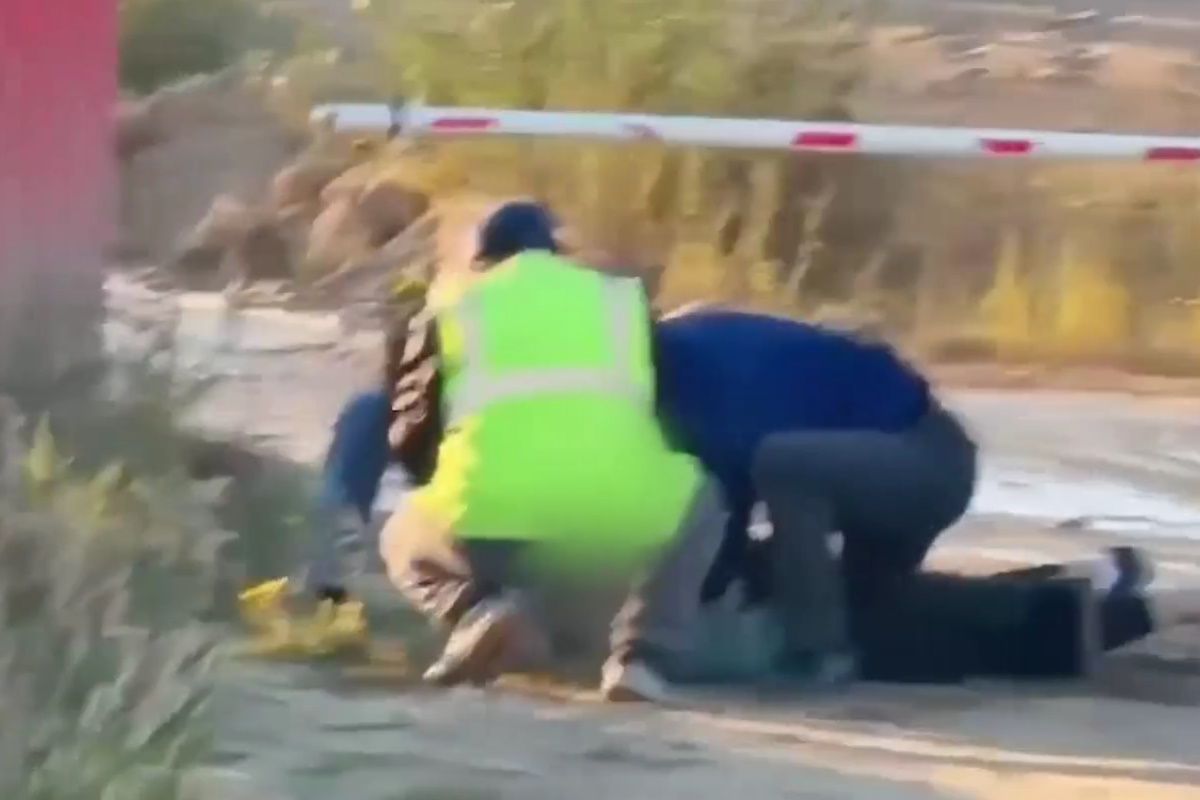 скриншот видео скриншот видео