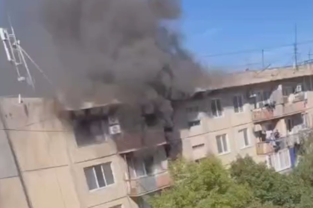 скриншот видео скриншот видео