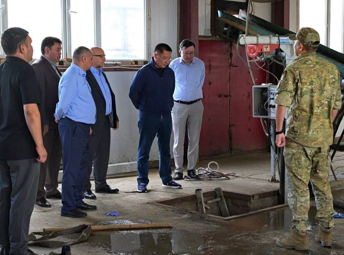 фото со стр. Halyq Press