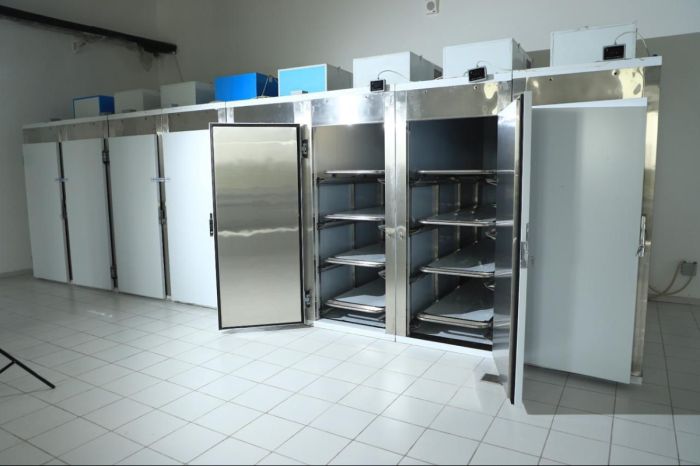 Оформить волеизъявление на кремацию в Алматы теперь можно через eGov