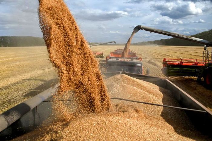Казахстанские аграрии неожиданно ускорили уборочную кампанию