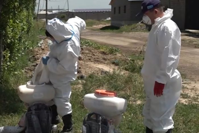 Восемь случаев опасной лихорадки ККГЛ зарегистрировали на юге Казахстана 