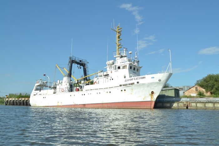 В Каспийском море оценят запасы осетровых рыб и каспийской кильки
