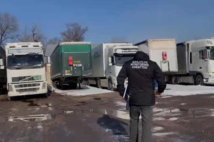 Более 800 авто вне закона и ущерб на 6,6 миллиарда: в Алматинской области осудили ОПГ с полицейскими