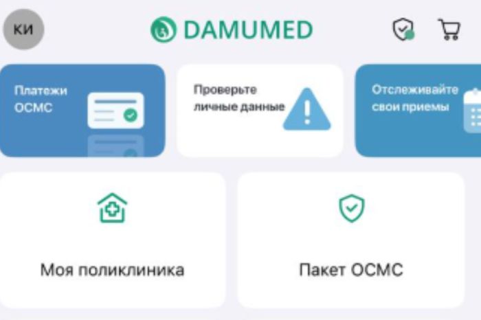 «Приписали капельницы и тяжелый диагноз»: костанайка не может сесть за руль из-за системы Damumed