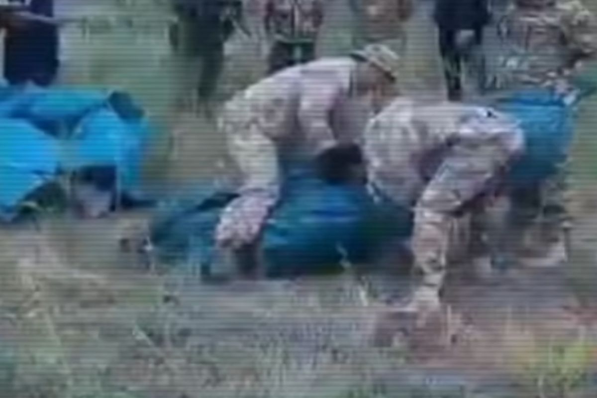 скриншот видео