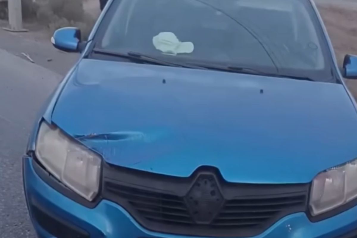 стоп-кадр с видео