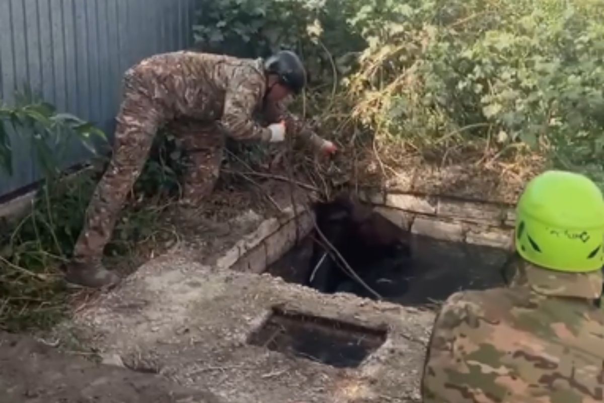 стоп-кадр с видео стоп-кадр с видео