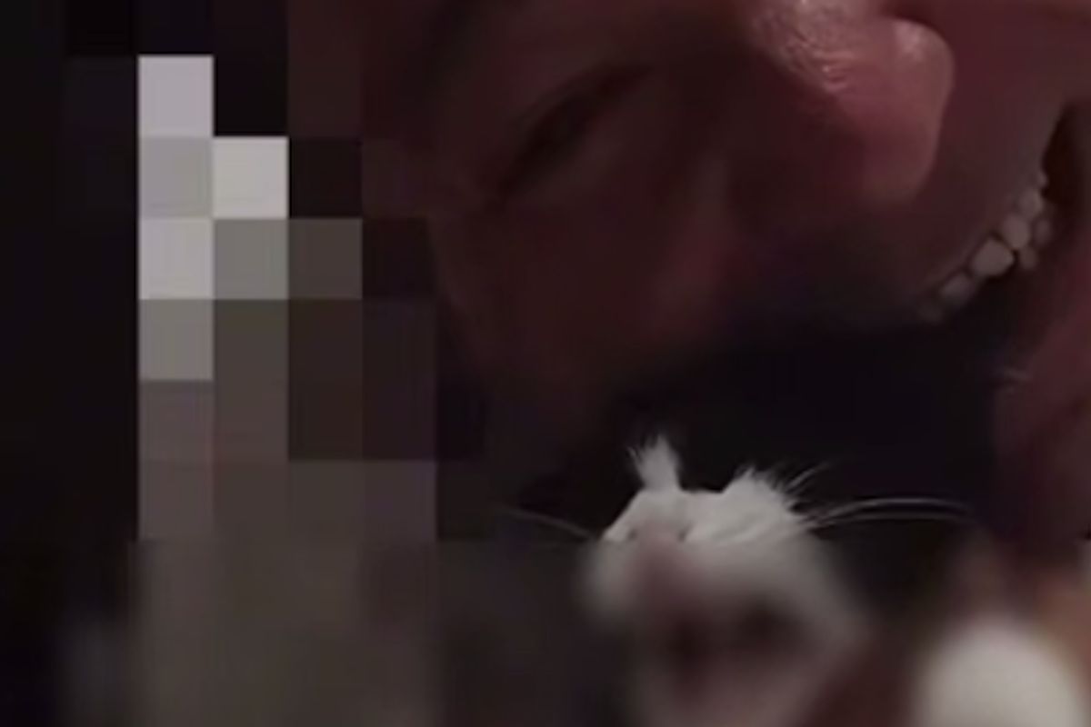 скриншот видео