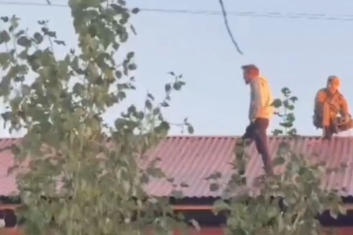 стоп-кадр с видео
