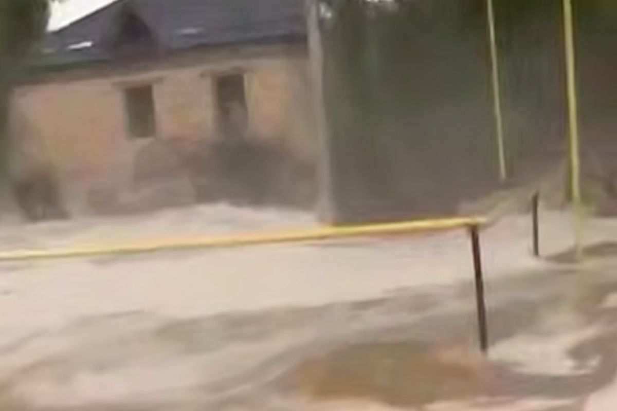 скриншот видео скриншот видео