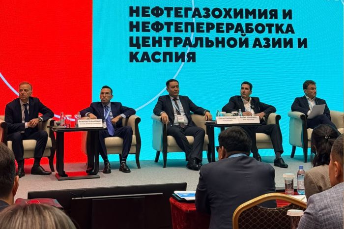 Новые нефтехимические заводы создадут до 20 тысяч рабочих мест в Казахстане