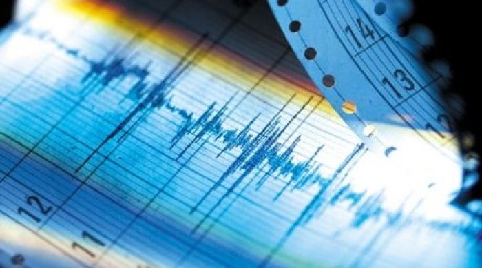 Землетрясение магнитудой 4.8 произошло в Алматинской области