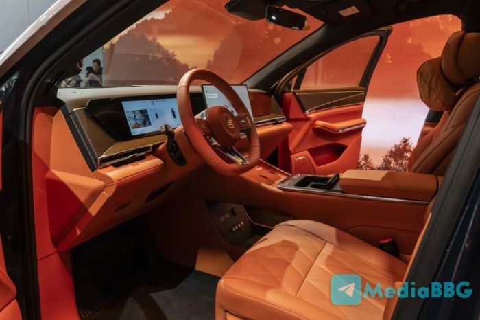 BYD отзывает 183 тысячи машин в Китае: под угрозой тормоза
