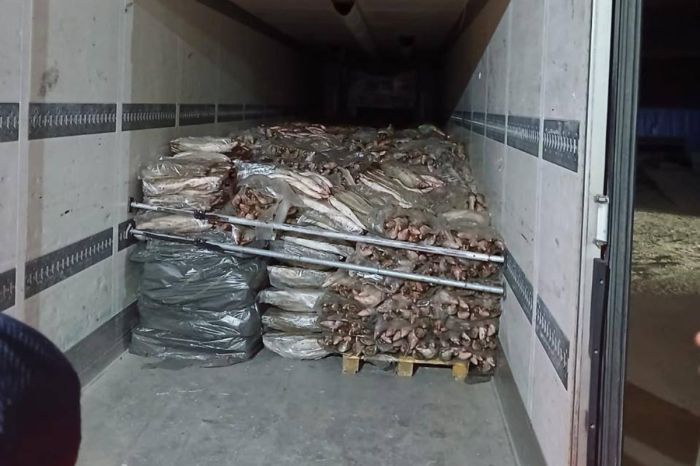 Полиция Атырау накрыла крупную партию нелегальной рыбы