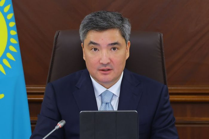Адресные выплаты и контроль стройки: Бектенов дал поручения министрам и акимам
